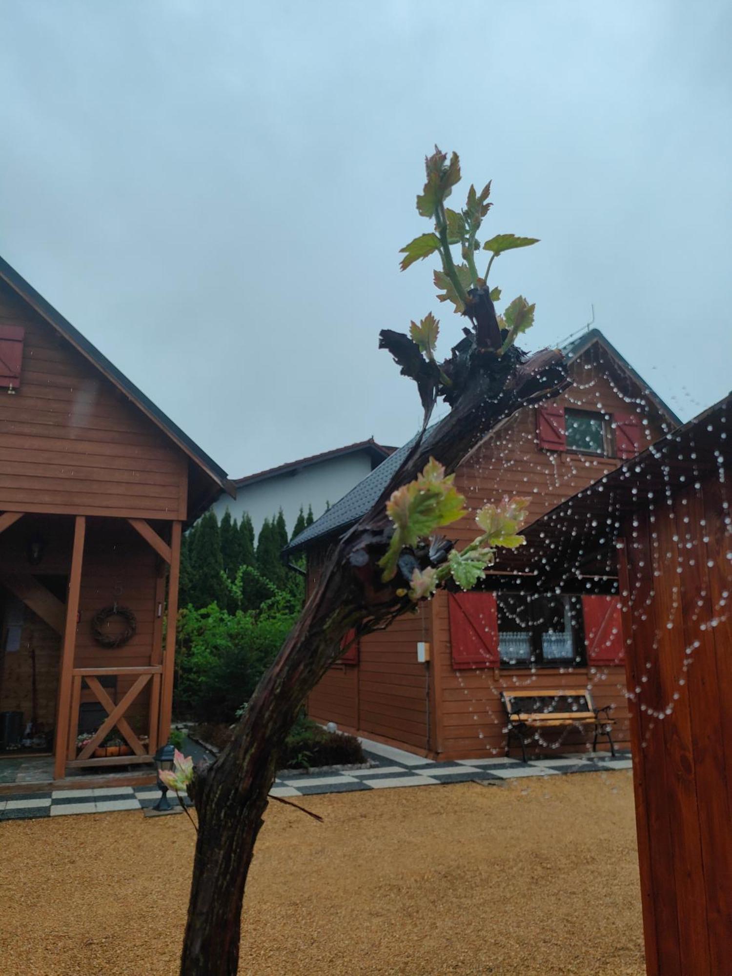 Domki Na Winnicy Zator Przeciszow Exterior foto